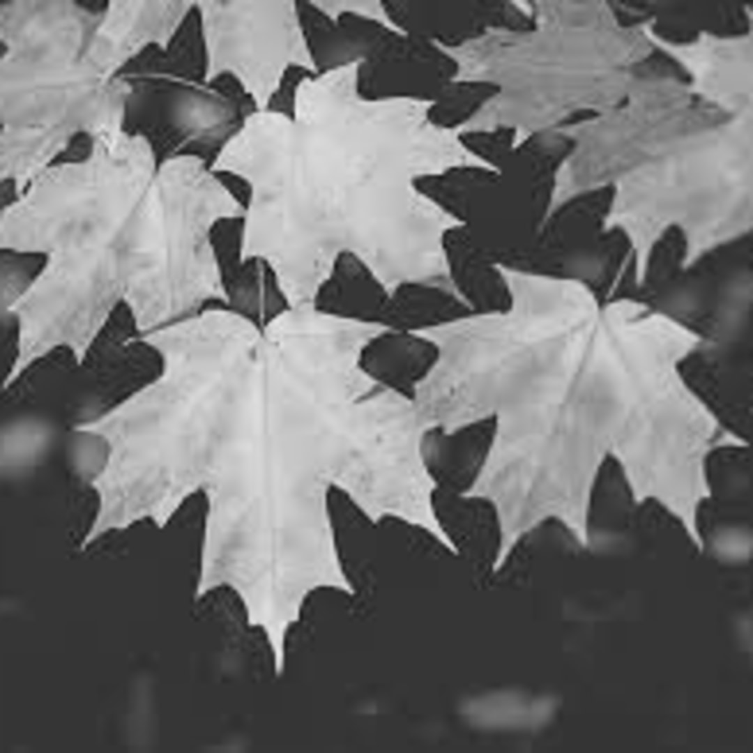 Photo shared by Katie for their Babylist baby registry.