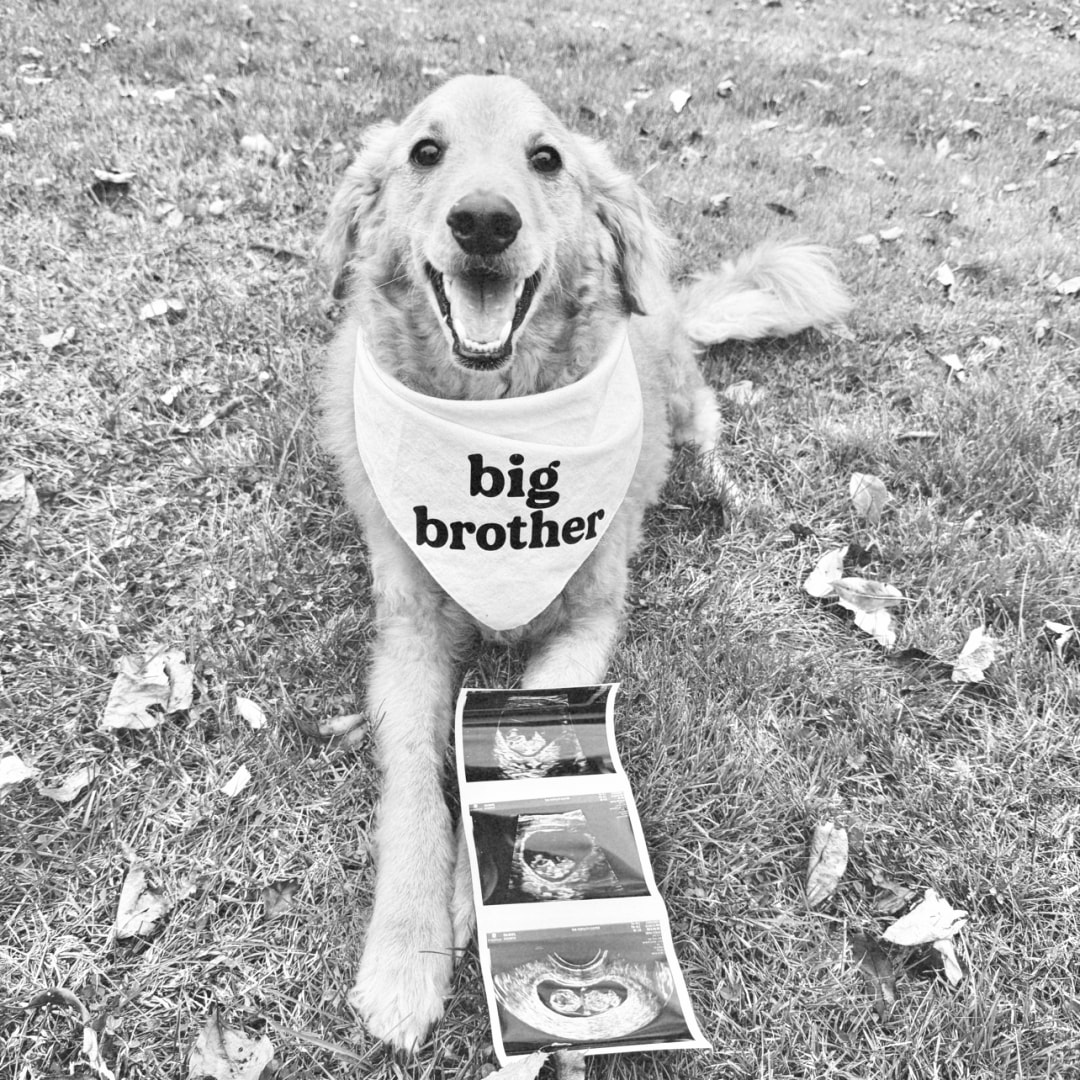 Photo shared by Katie for their Babylist baby registry.