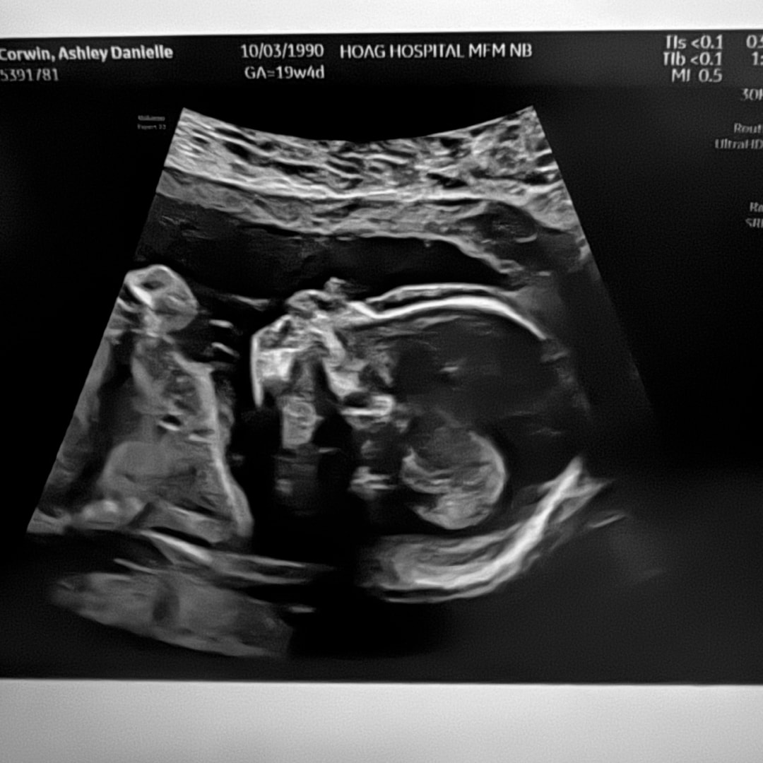 Photo shared by Ashley for their Babylist baby registry.