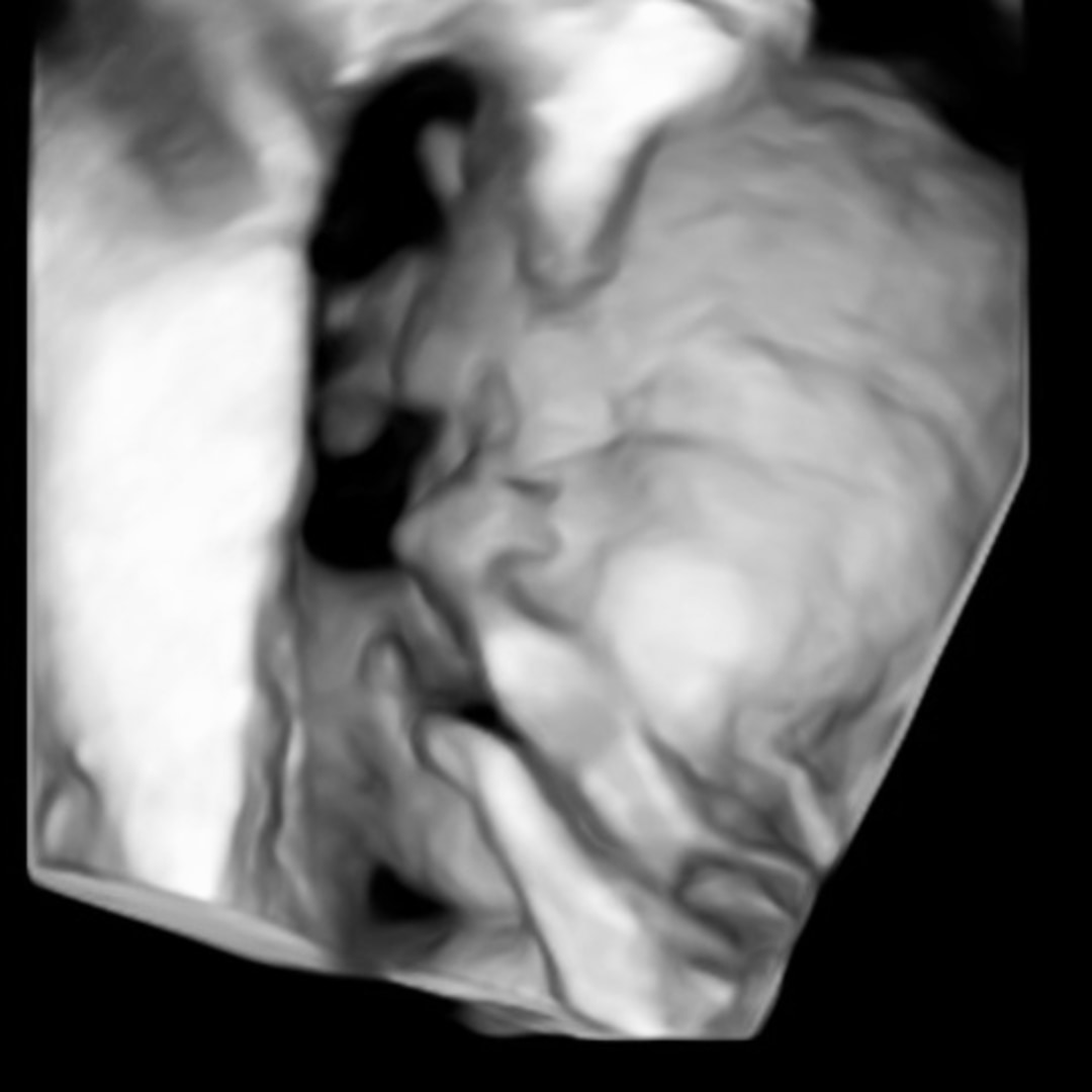 Photo shared by Ashley for their Babylist baby registry.