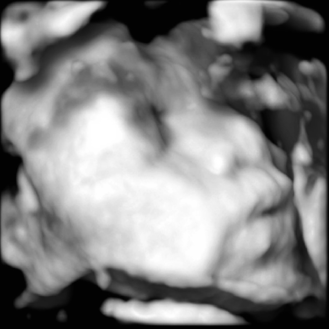 Photo shared by Brenda for their Babylist baby registry.