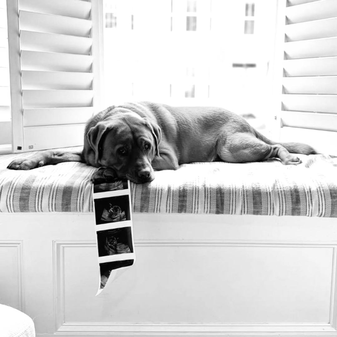 Photo shared by Carly for their Babylist baby registry.