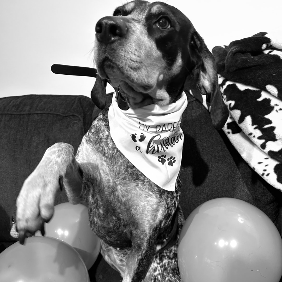 Photo shared by Riley for their Babylist baby registry.