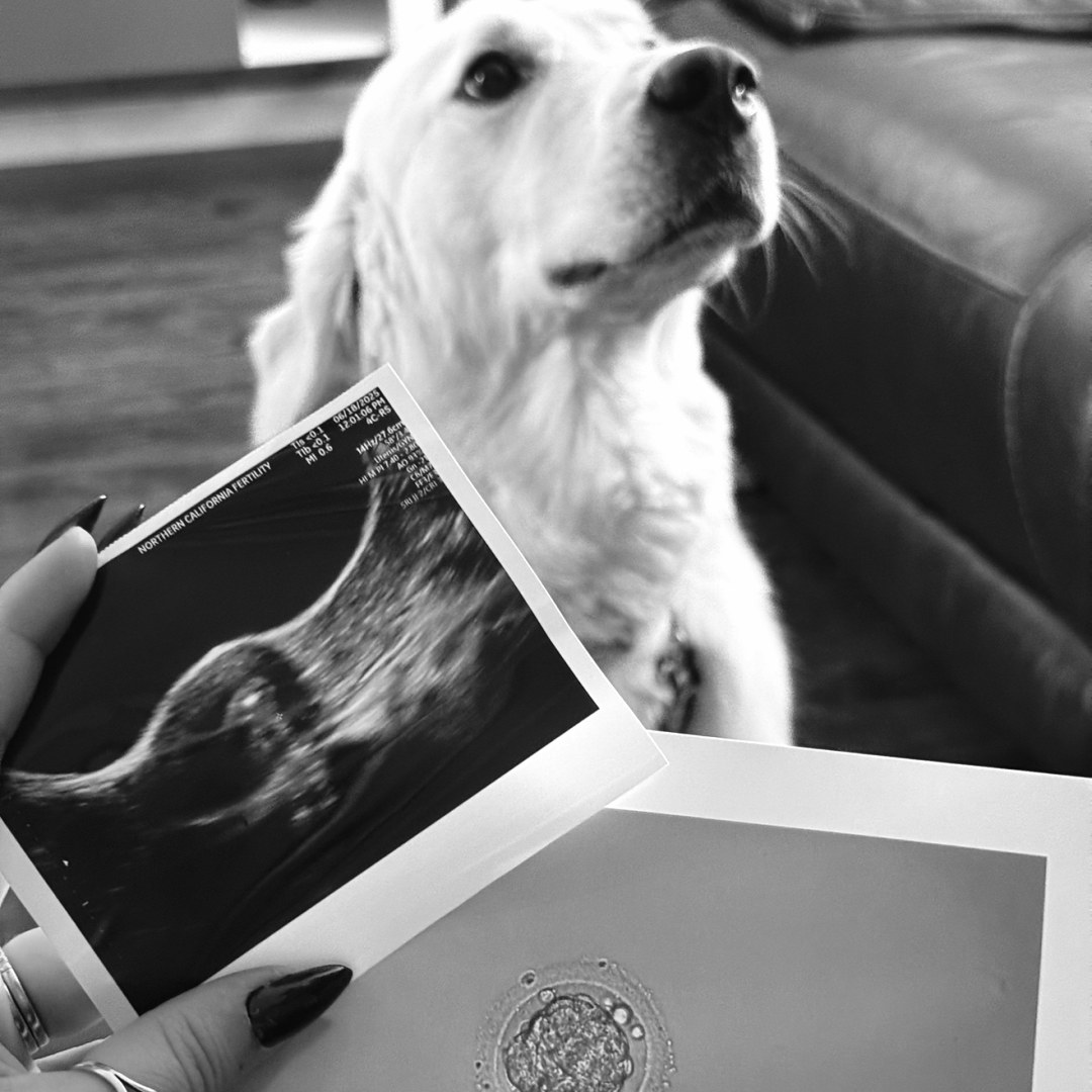 Photo shared by Elizabeth for their Babylist baby registry.