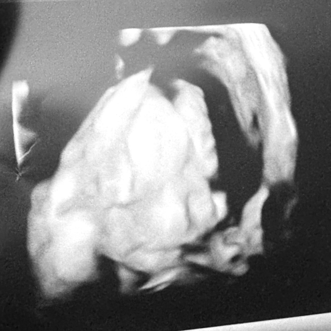 Photo shared by Kelanny for their Babylist baby registry.