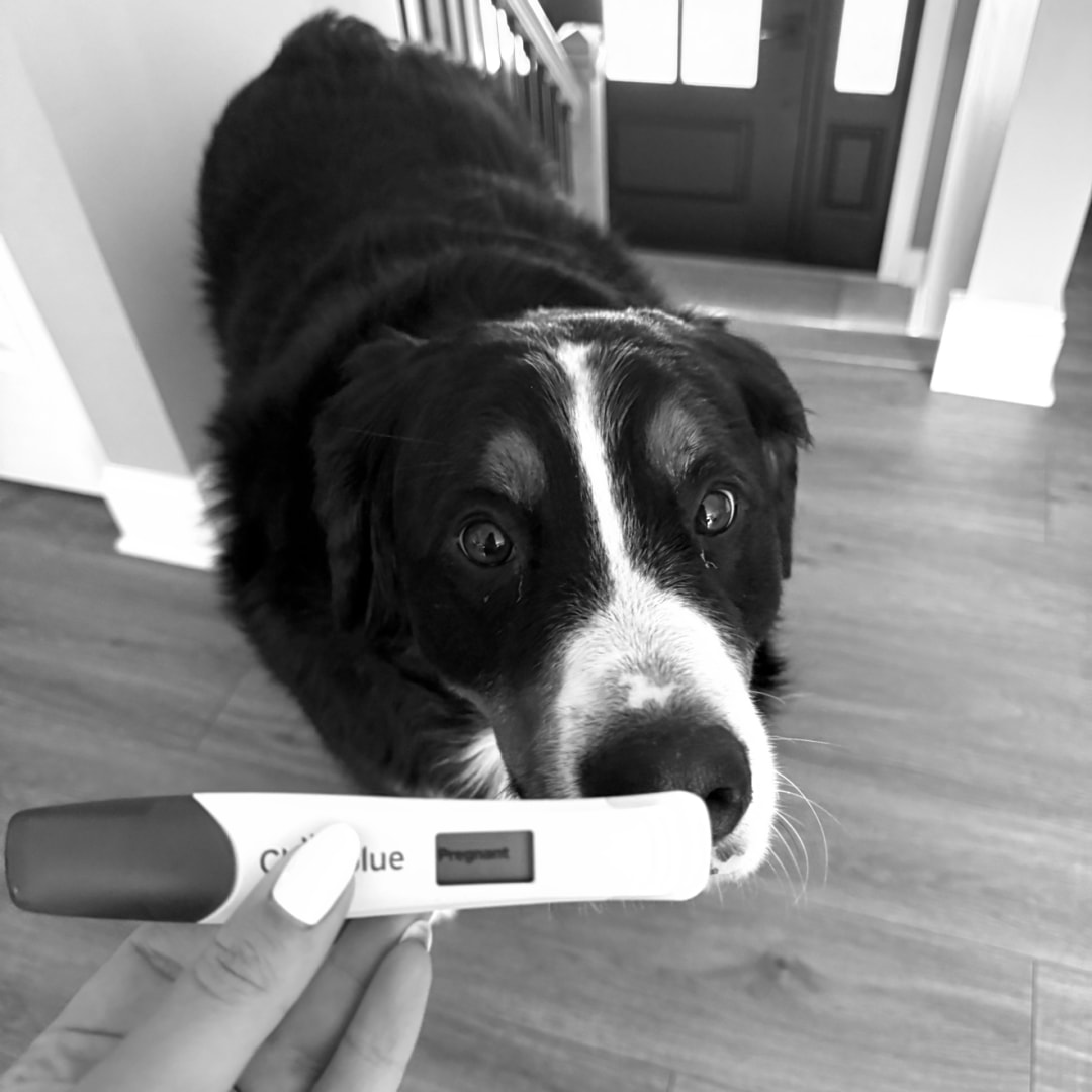 Photo shared by Brianna for their Babylist baby registry.