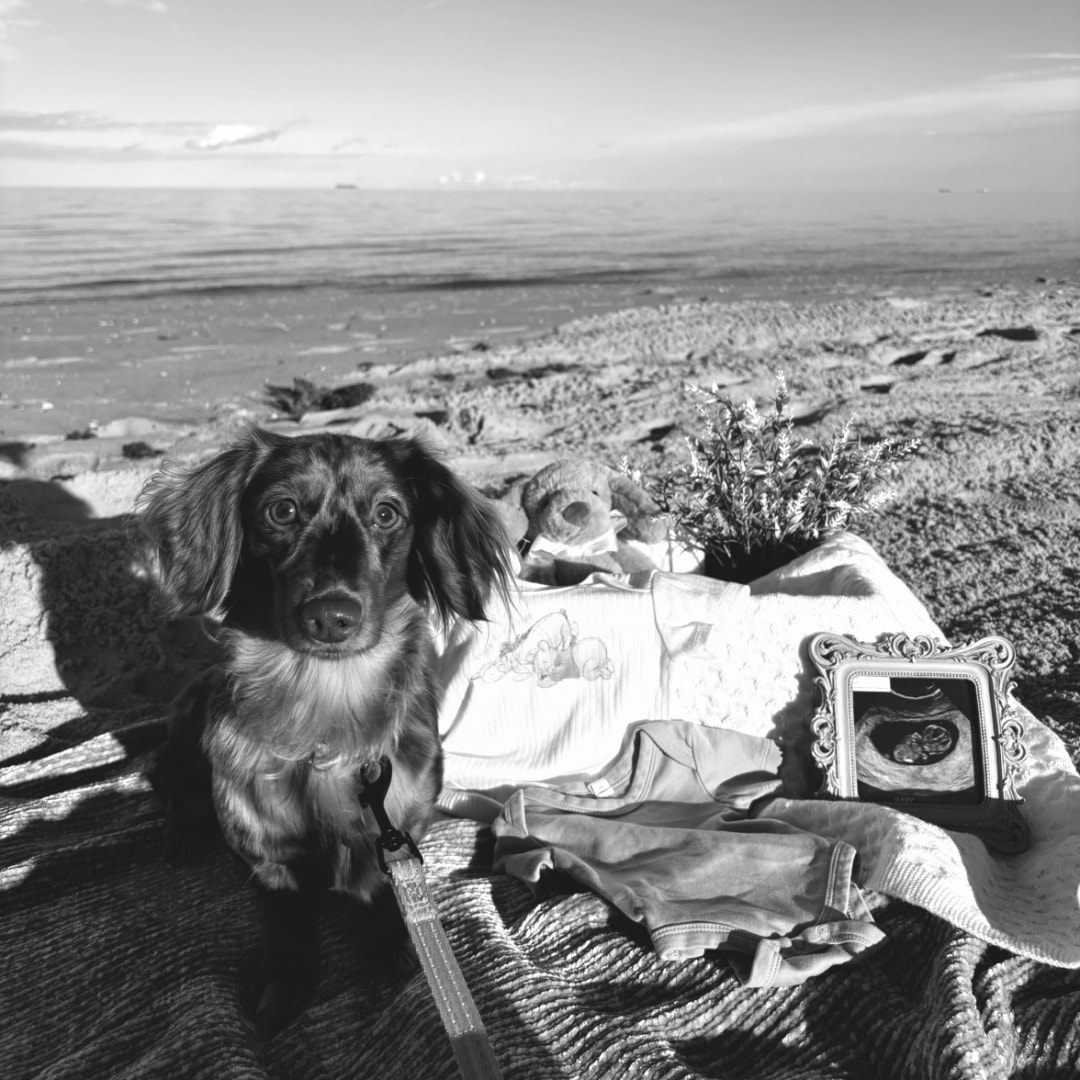 Photo shared by Ellie for their Babylist baby registry.