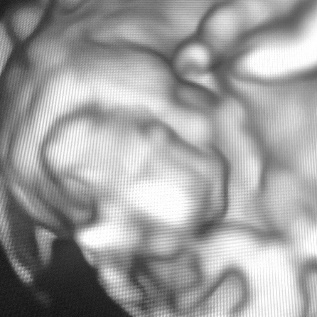 Photo shared by Erin for their Babylist baby registry.