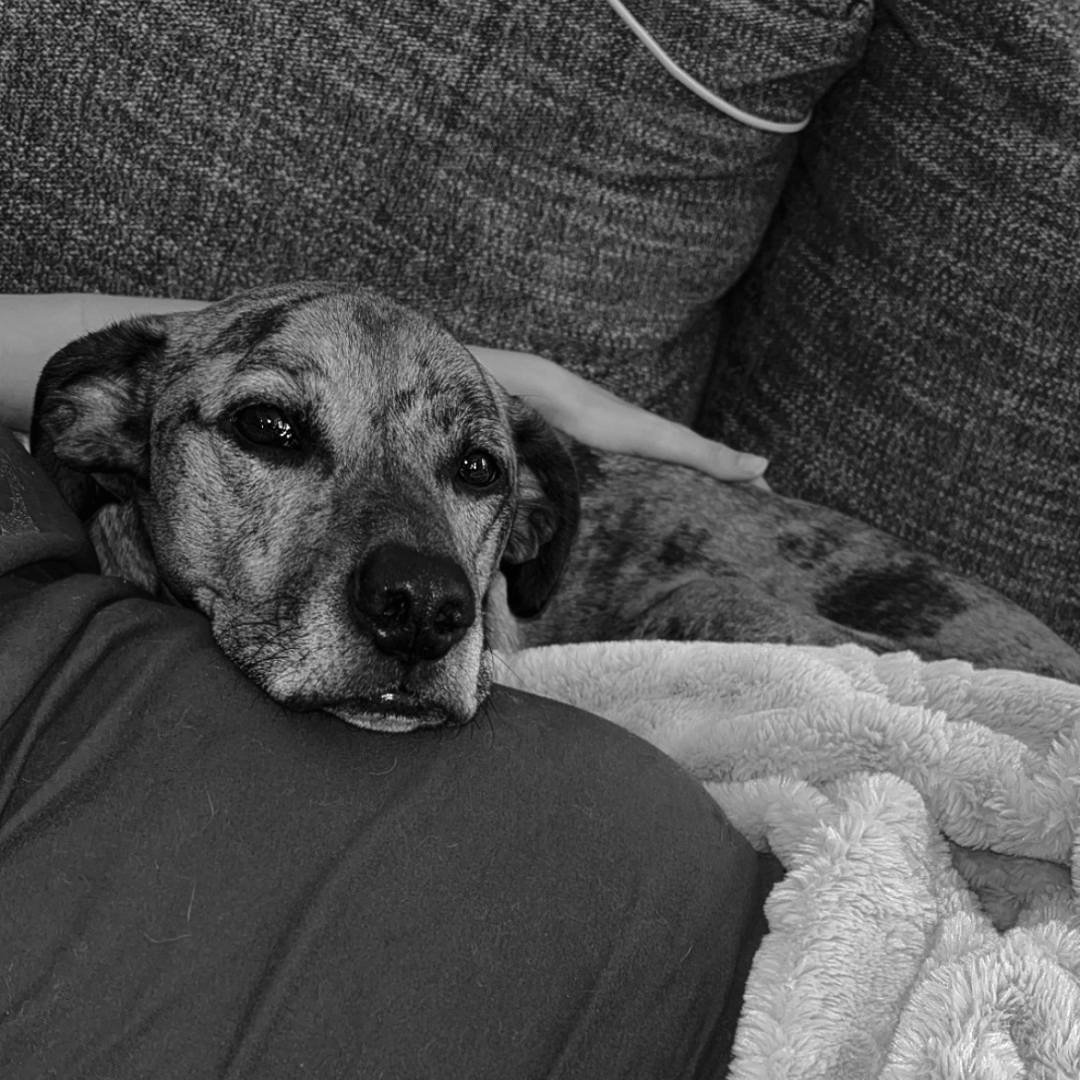 Photo shared by Anna for their Babylist baby registry.