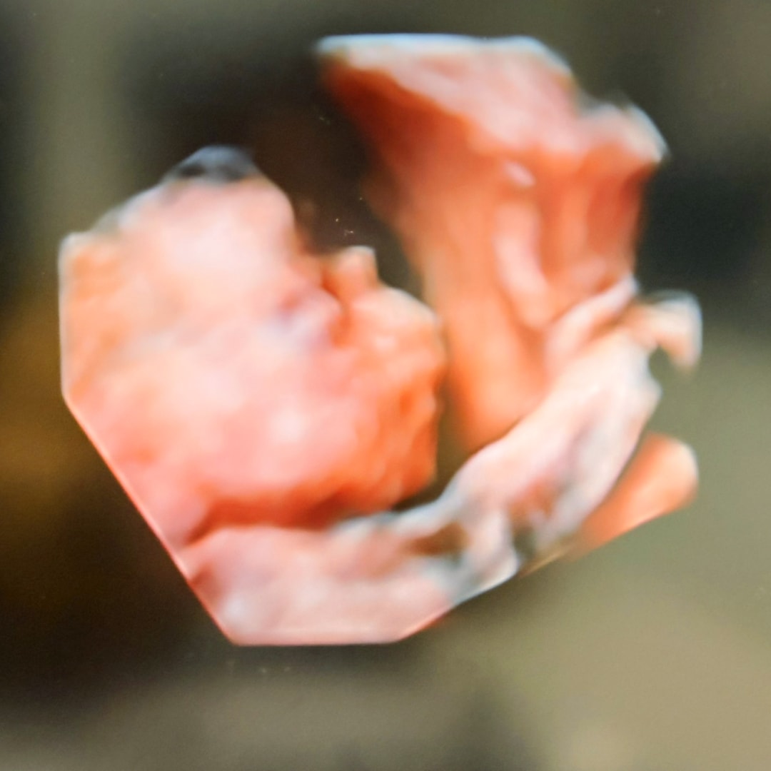 Photo shared by Ariany for their Babylist baby registry.