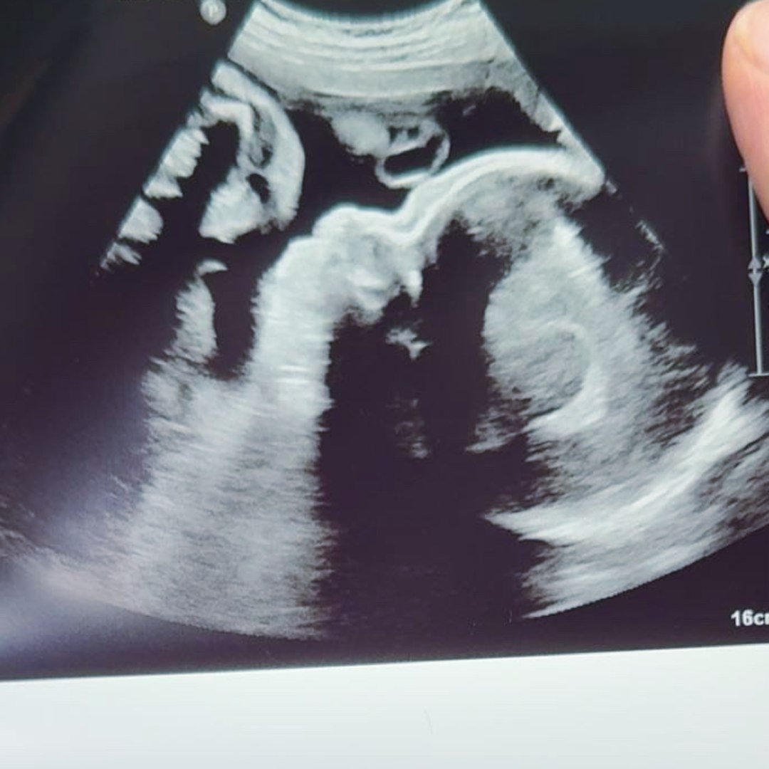 Photo shared by Cassandra for their Babylist baby registry.