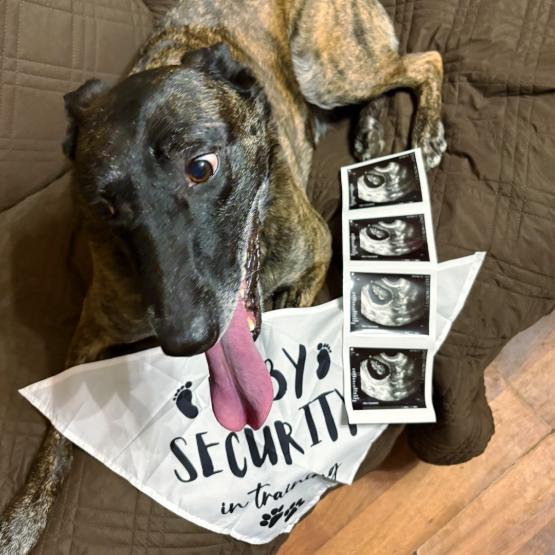 Photo shared by Allianna for their Babylist baby registry.