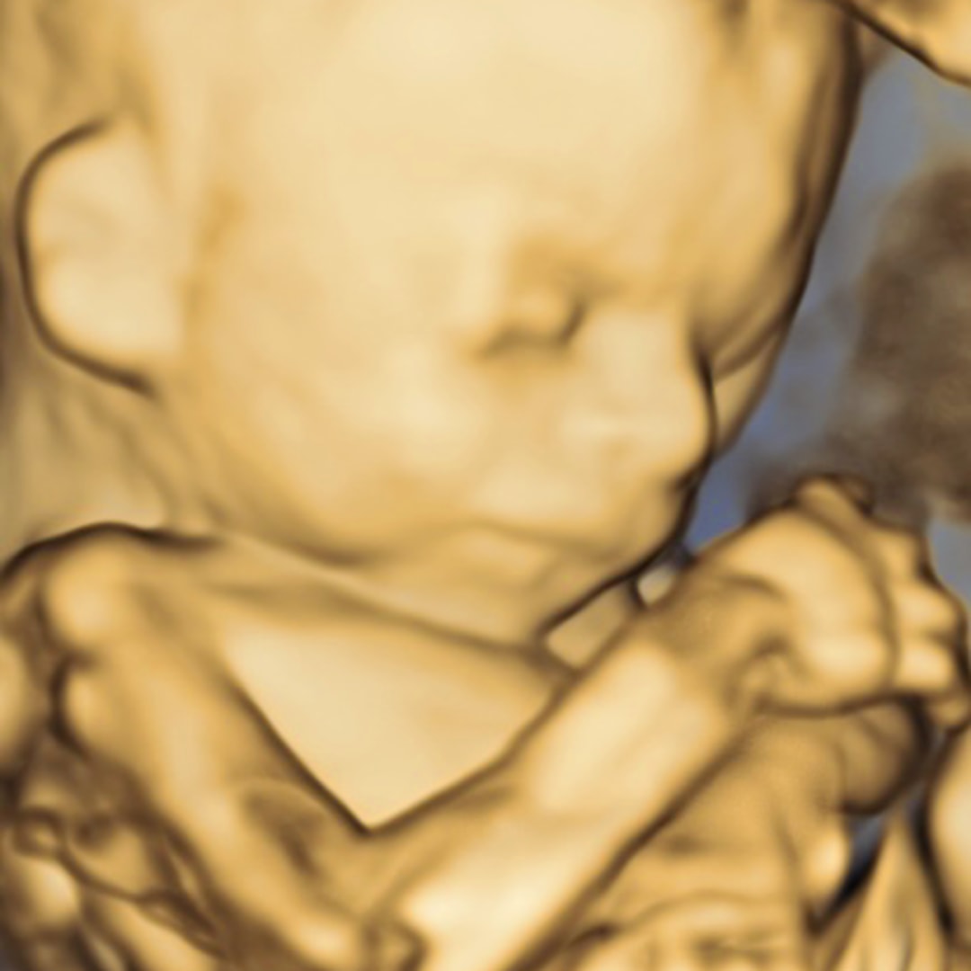 Photo shared by Ava for their Babylist baby registry.