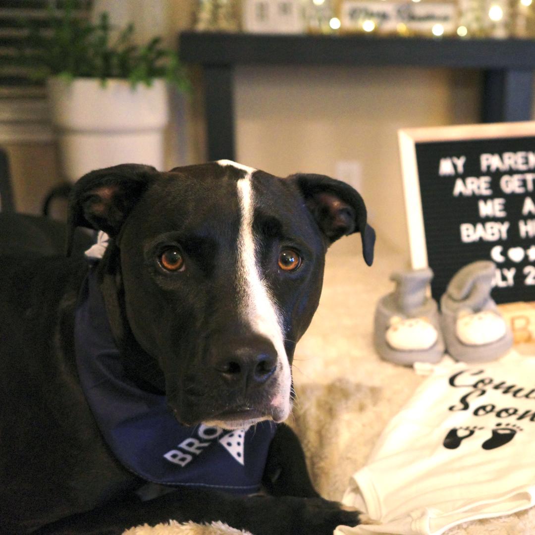 Photo shared by Jutarat for their Babylist baby registry.