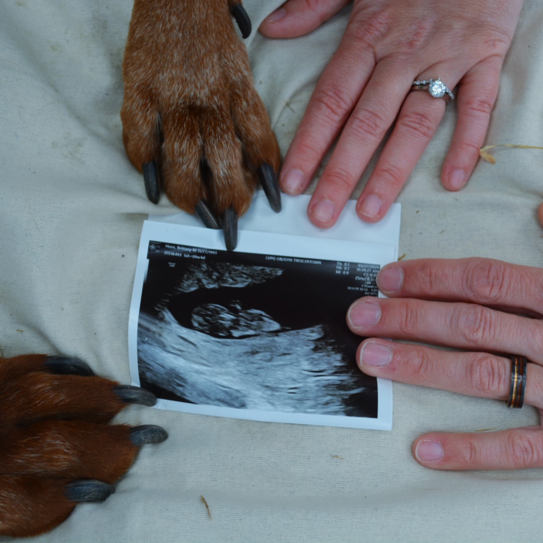 Photo shared by Brittany for their Babylist baby registry.