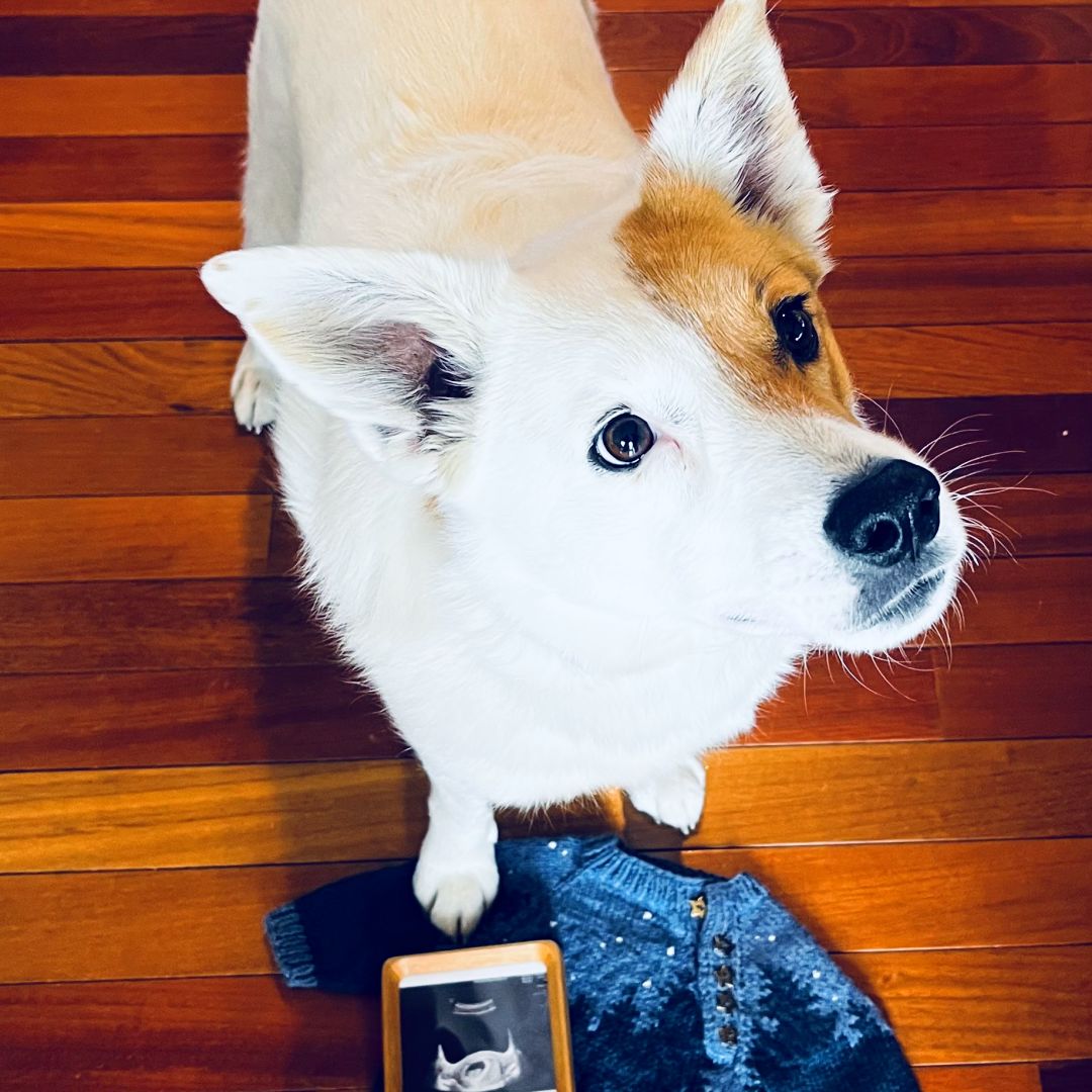 Photo shared by Linsey for their Babylist baby registry.