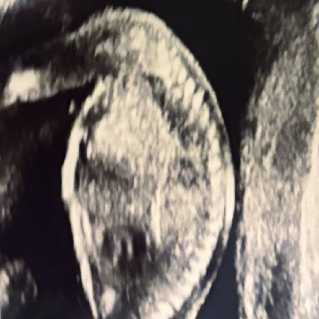 Photo shared by Kaylee for their Babylist baby registry.