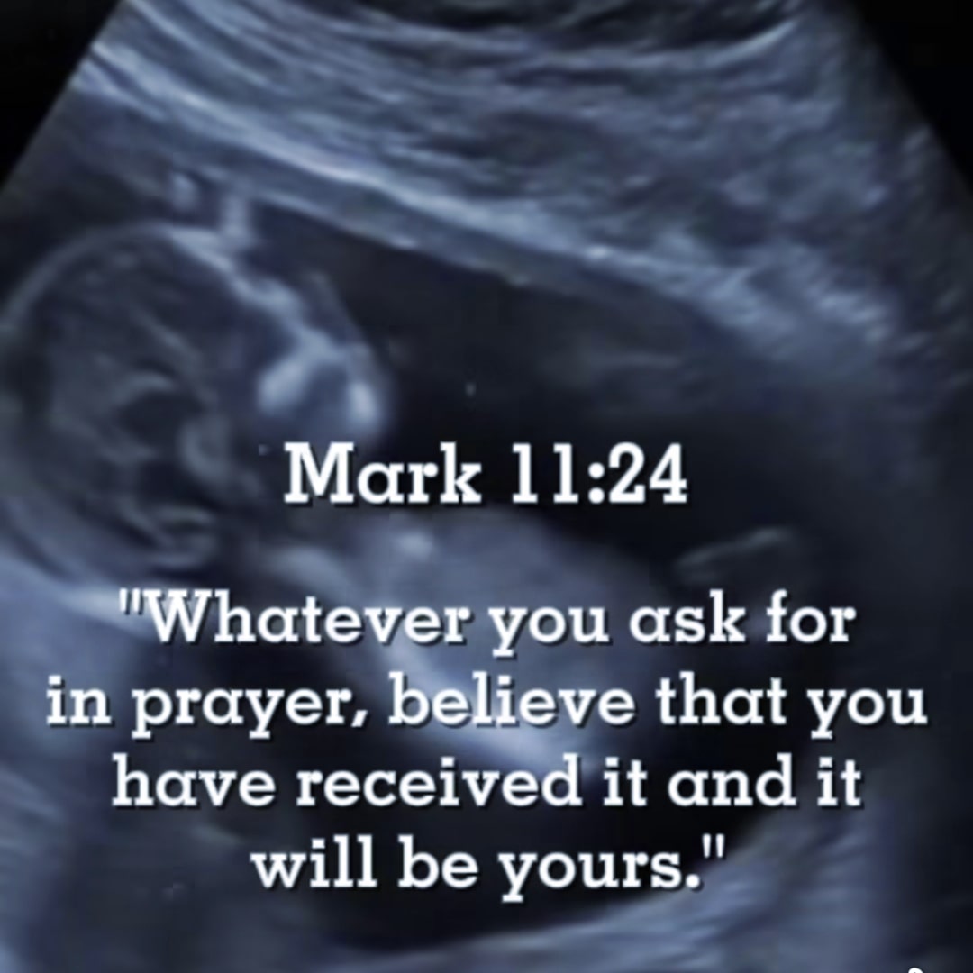 Photo shared by Julien April for their Babylist baby registry.