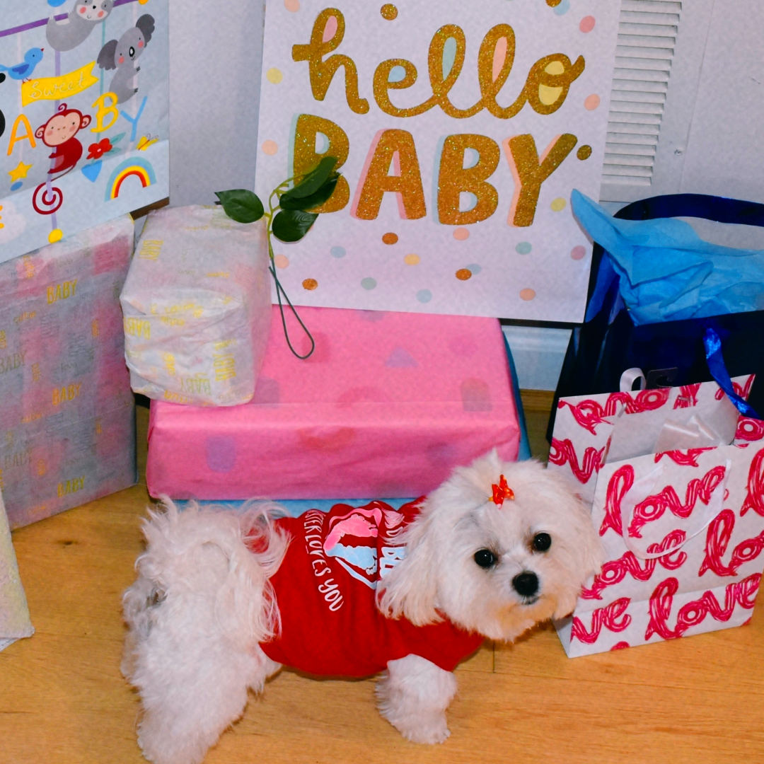 Photo shared by Dr. Leepy for their Babylist baby registry.