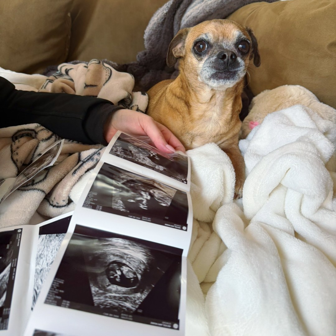 Photo shared by Amy for their Babylist baby registry.