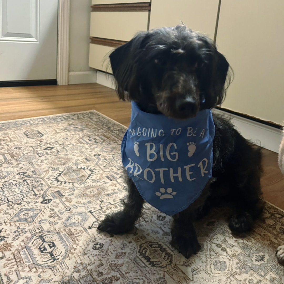 Photo shared by Mariela for their Babylist baby registry.