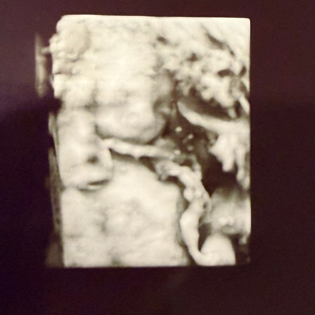 Photo shared by Kris for their Babylist baby registry.