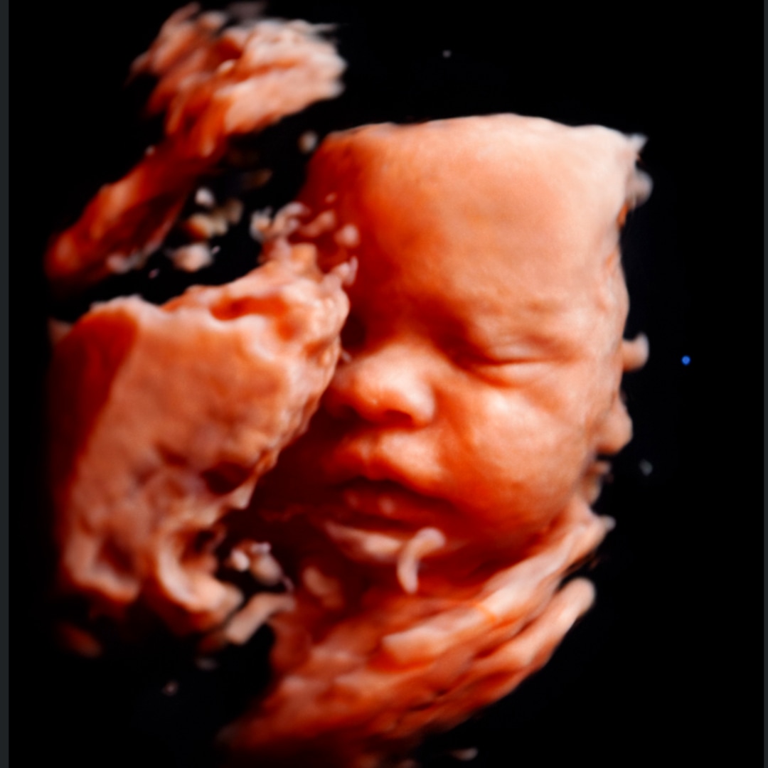 Photo shared by Andi for their Babylist baby registry.