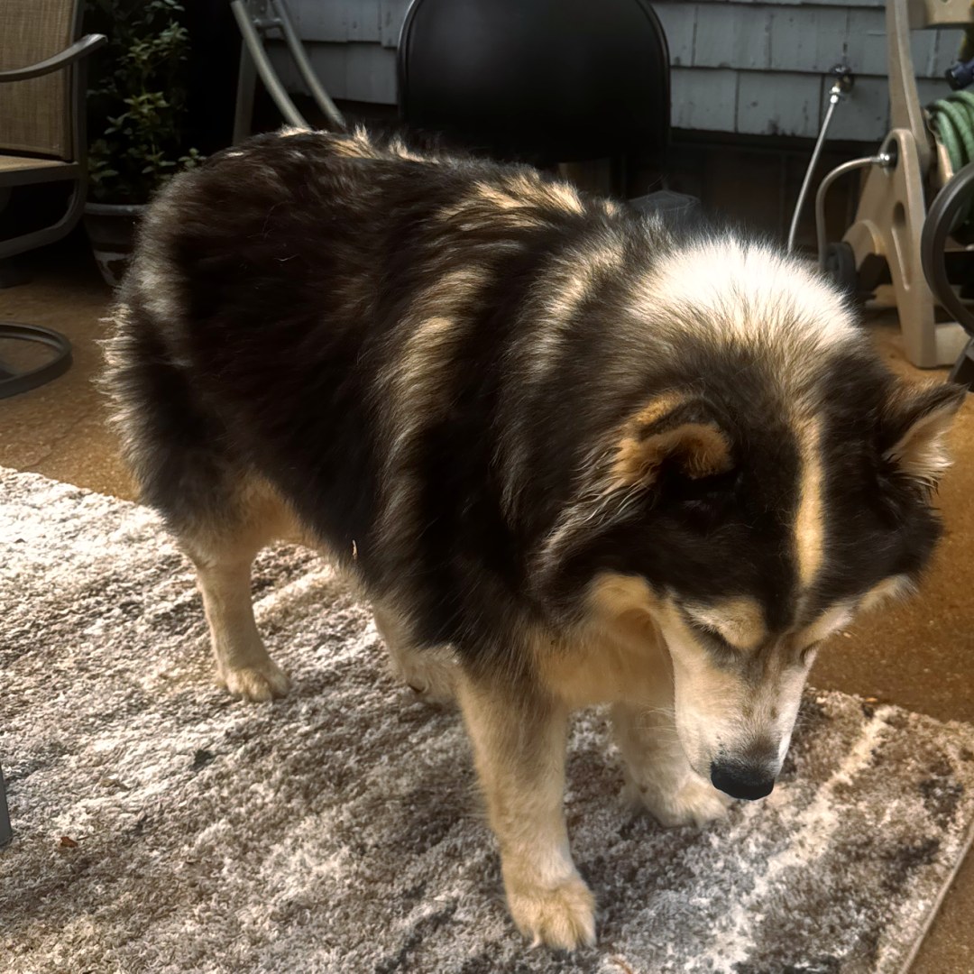 Photo shared by Emely for their Babylist baby registry.