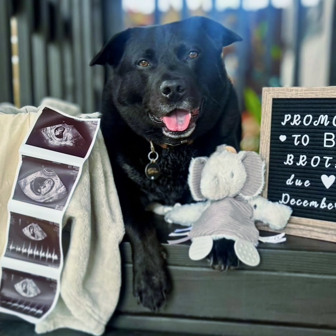 Photo shared by ~ Deion Adams & Tyler Smith for their Babylist baby registry.