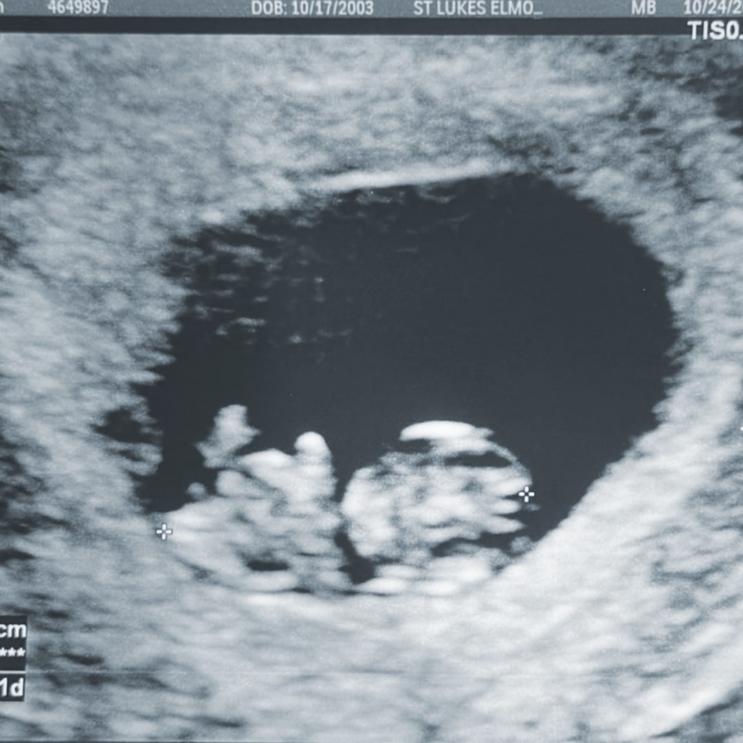 Photo shared by Dave for their Babylist baby registry.