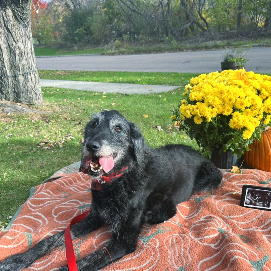 Photo shared by Kelly for their Babylist baby registry.