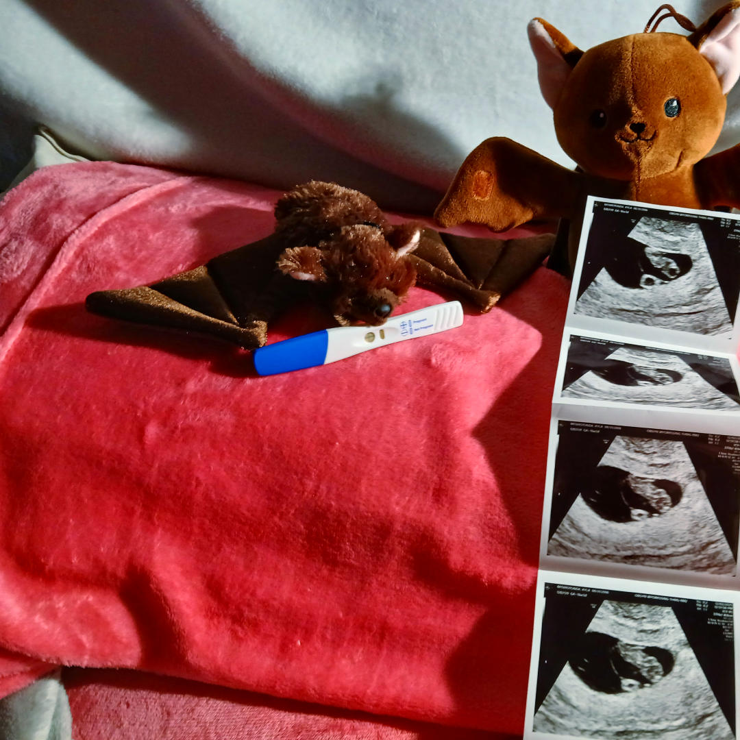 Photo shared by Kyla for their Babylist baby registry.