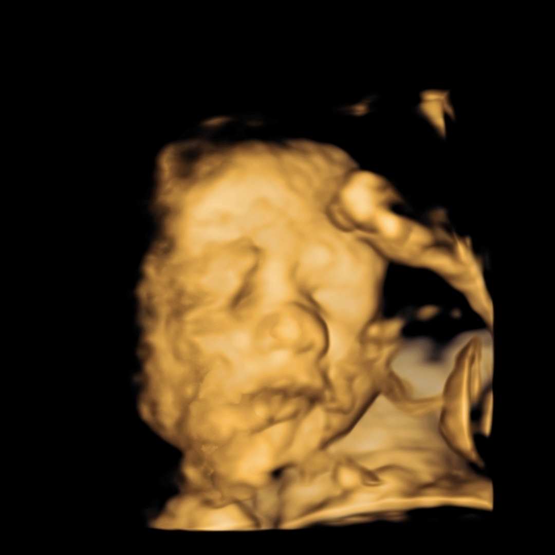 Photo shared by Courtney for their Babylist baby registry.