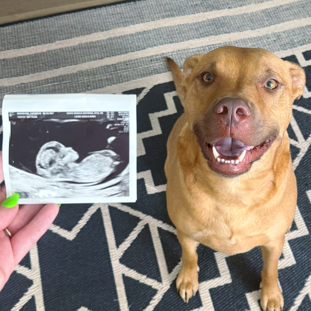 Photo shared by Catie for their Babylist baby registry.