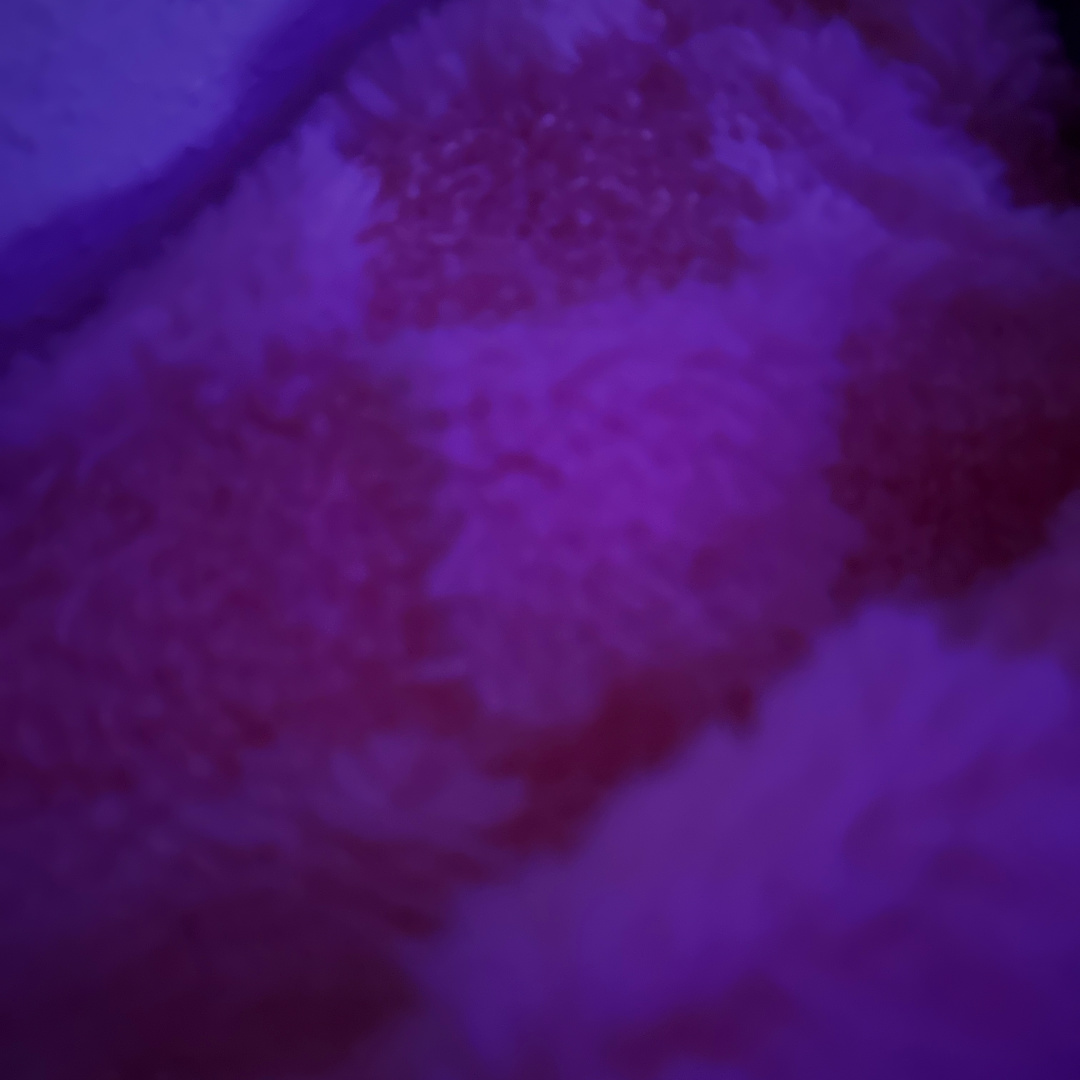 Photo shared by Bree for their Babylist baby registry.