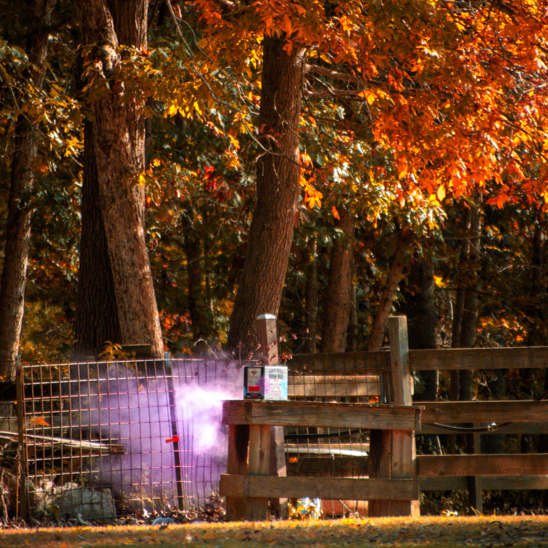 Photo shared by Skyler for their Babylist baby registry.