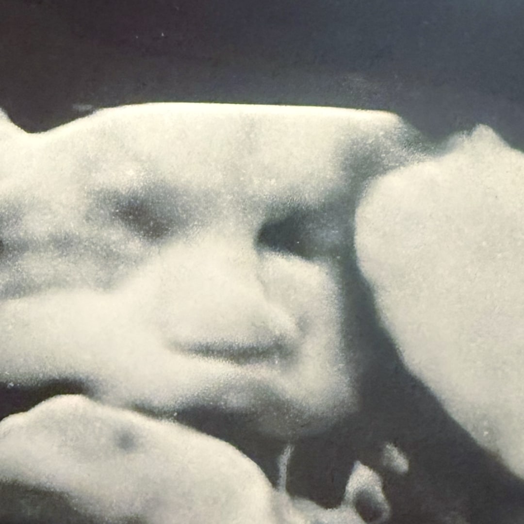 Photo shared by Imani for their Babylist baby registry.