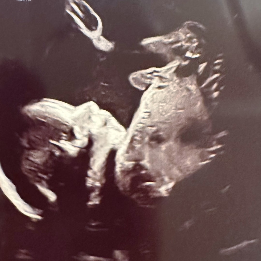 Photo shared by Aubrey for their Babylist baby registry.