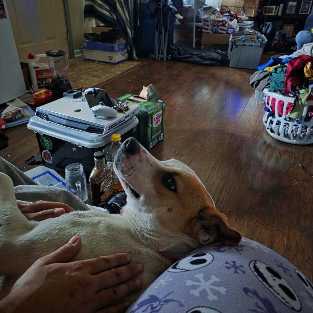 Photo shared by Kelli Nicole for their Babylist baby registry.