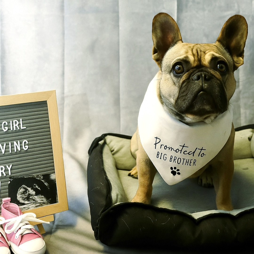 Photo shared by Kerrianne for their Babylist baby registry.