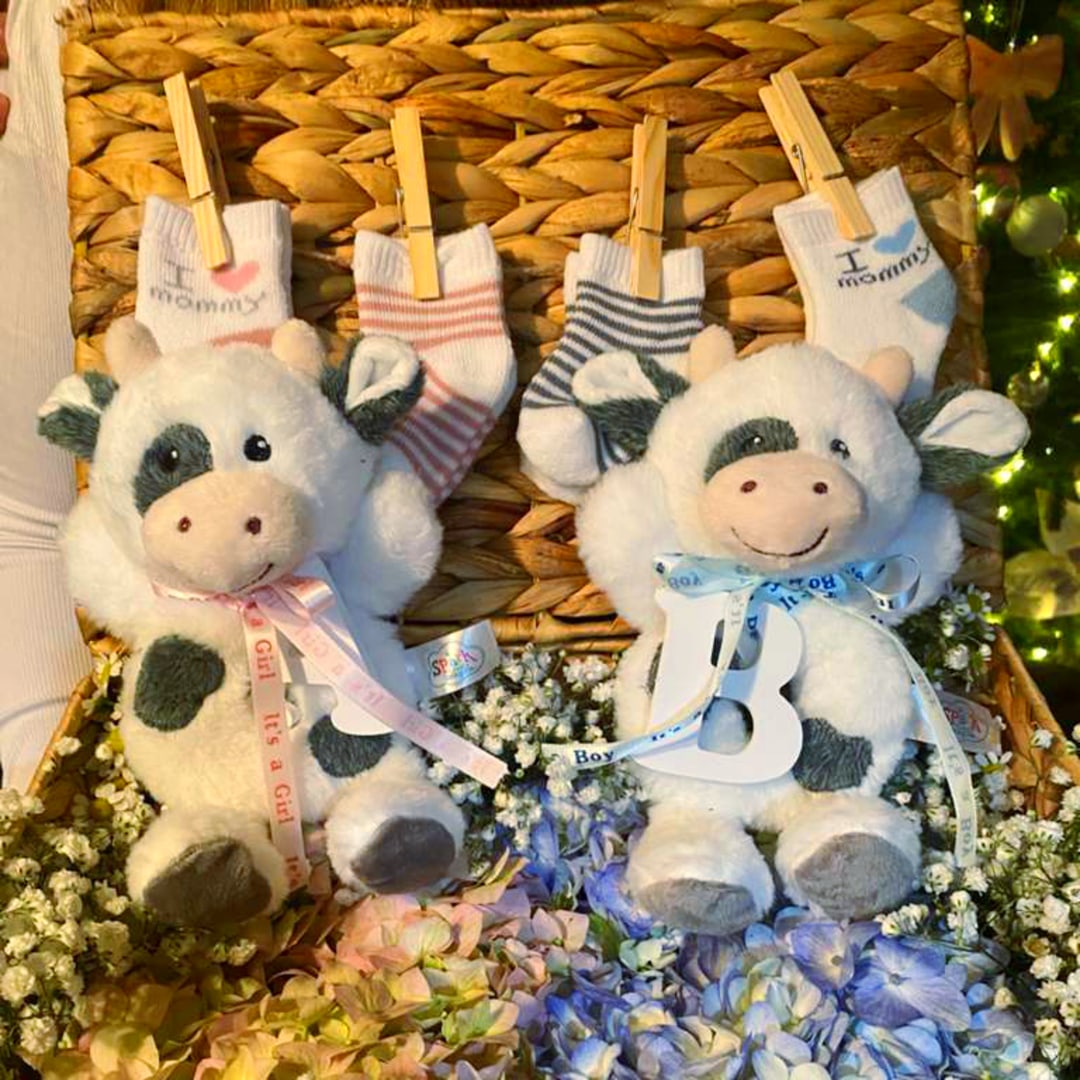 Photo shared by ANTONIA for their Babylist baby registry.