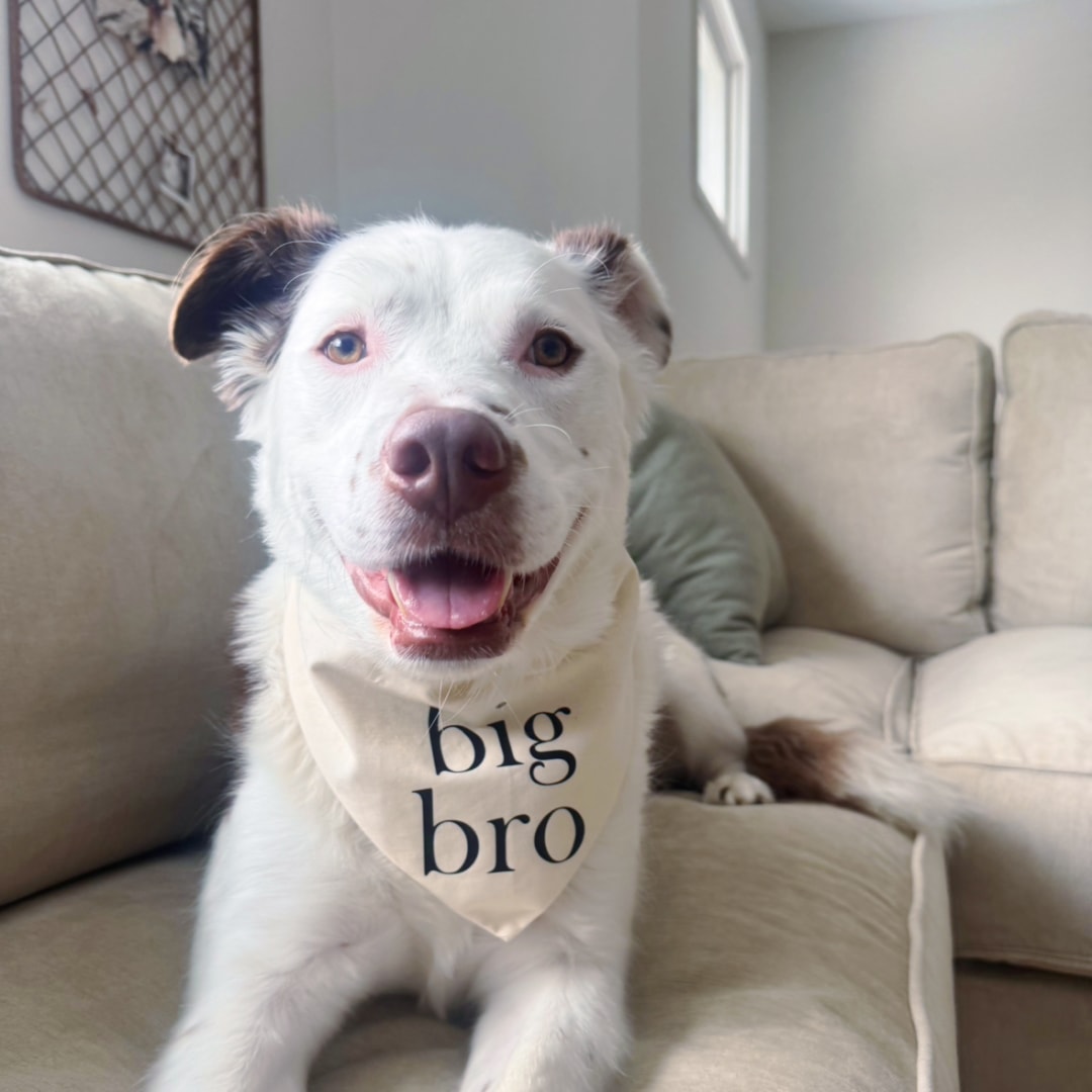 Photo shared by Alicia for their Babylist baby registry.