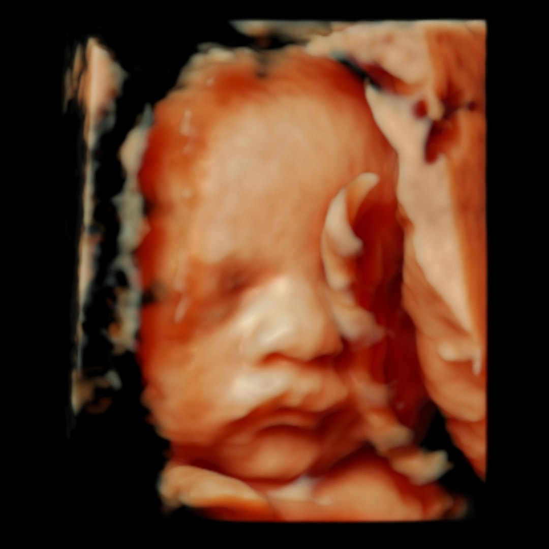 Photo shared by Ashley for their Babylist baby registry.