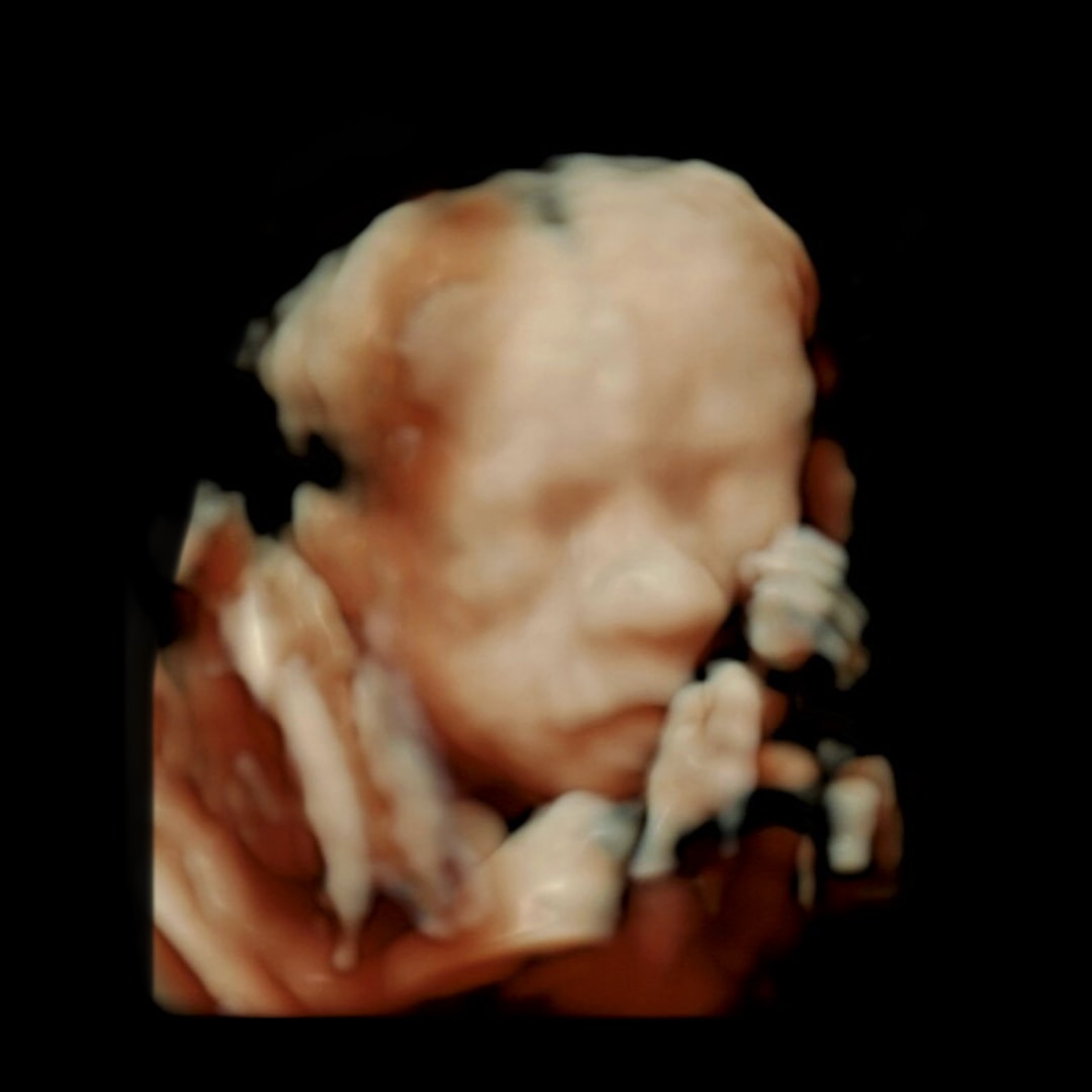 Photo shared by Haley for their Babylist baby registry.