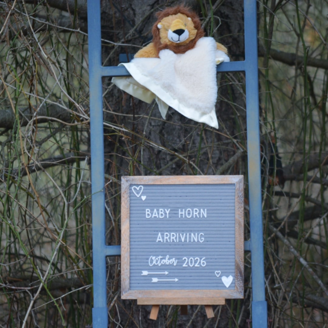 Photo shared by Brittany for their Babylist baby registry.