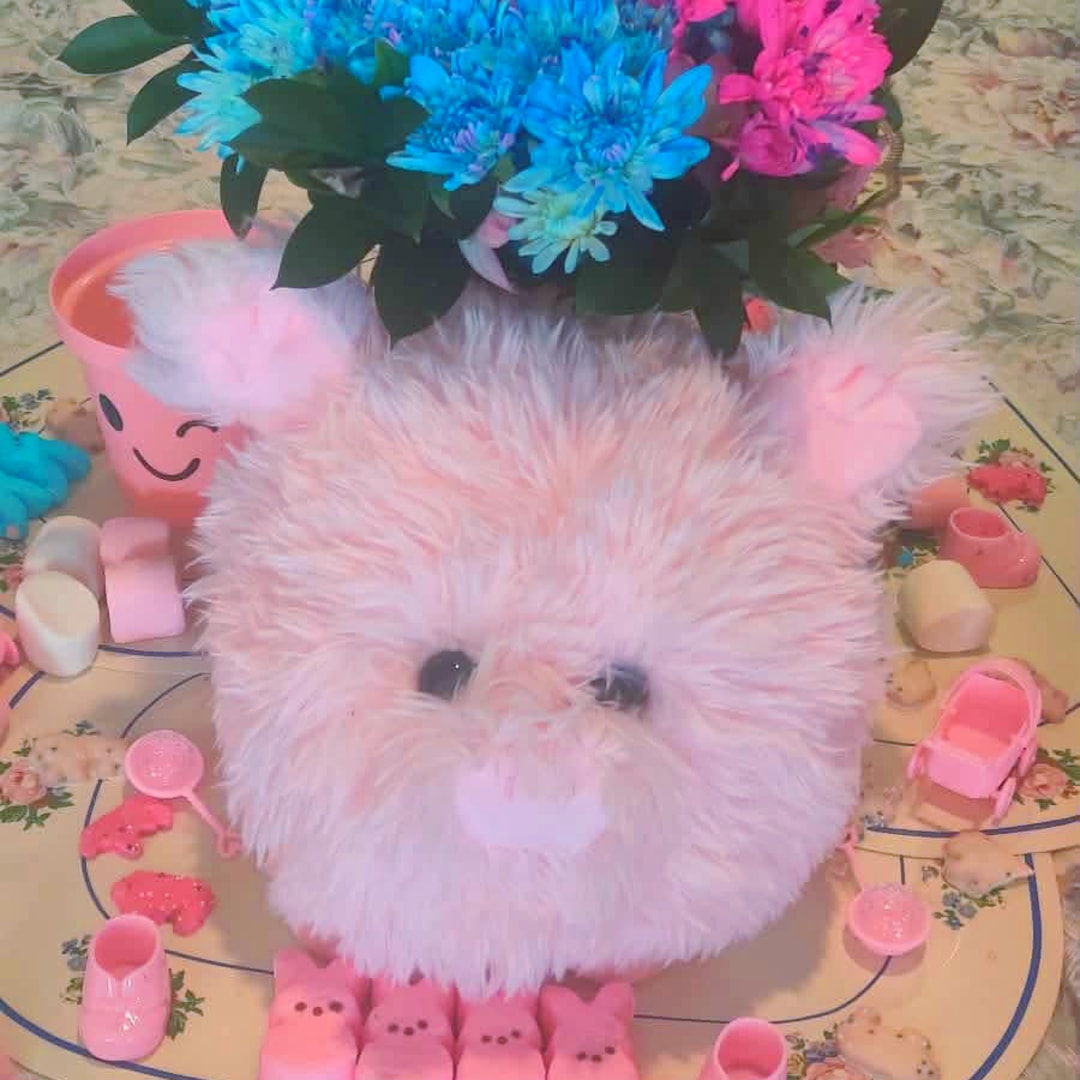 Photo shared by Caitlyn for their Babylist baby registry.