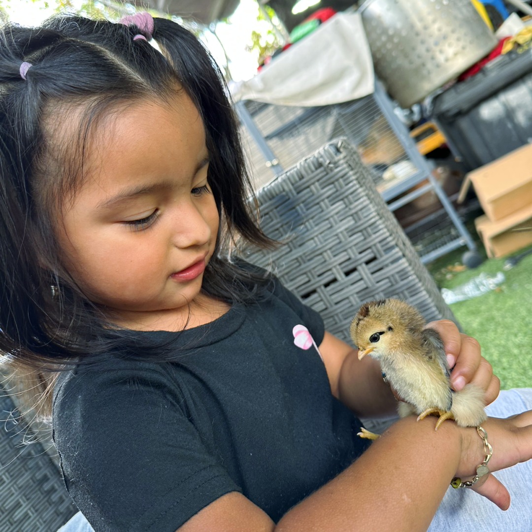 Photo shared by Josephine for their Babylist baby registry.