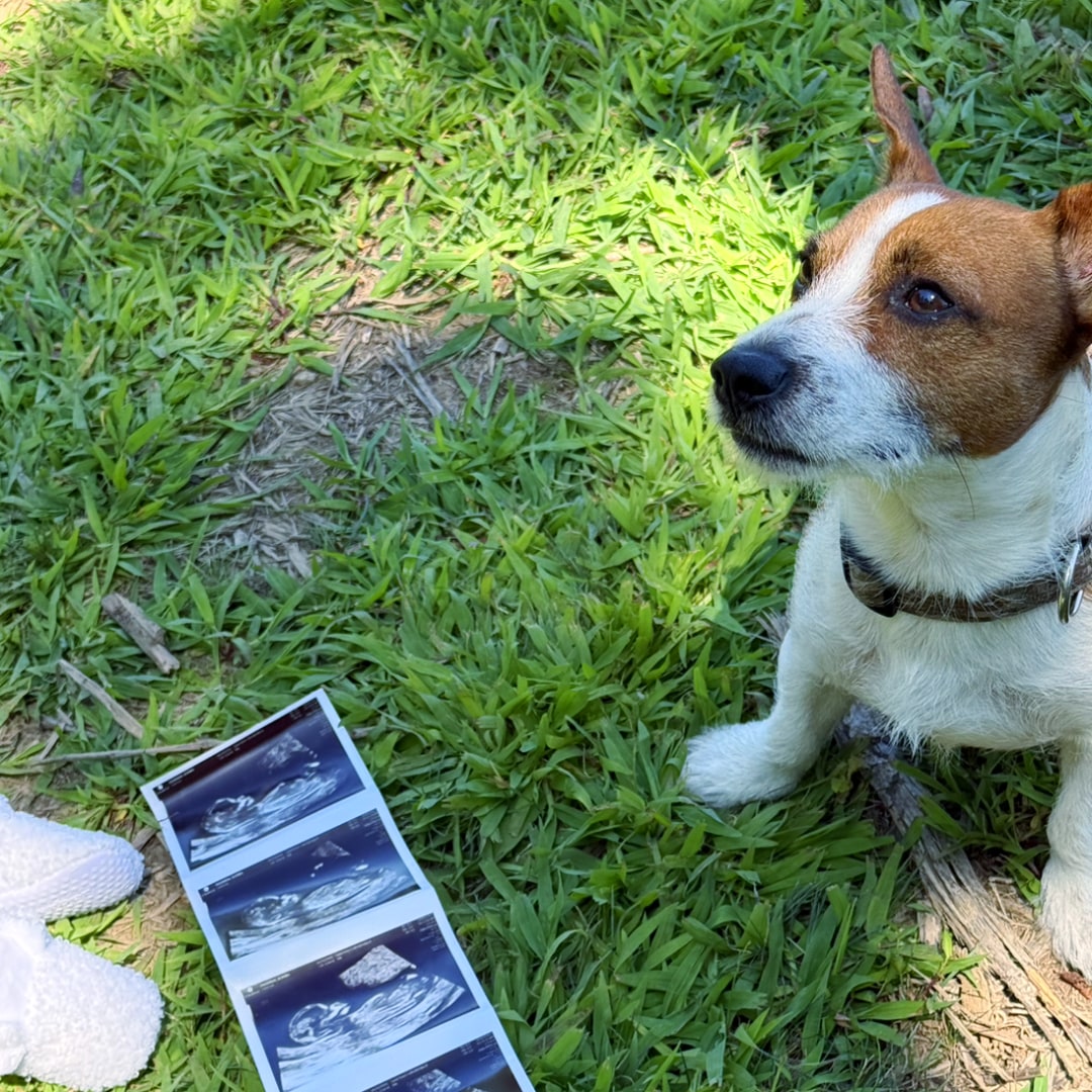 Photo shared by Jezebel for their Babylist baby registry.