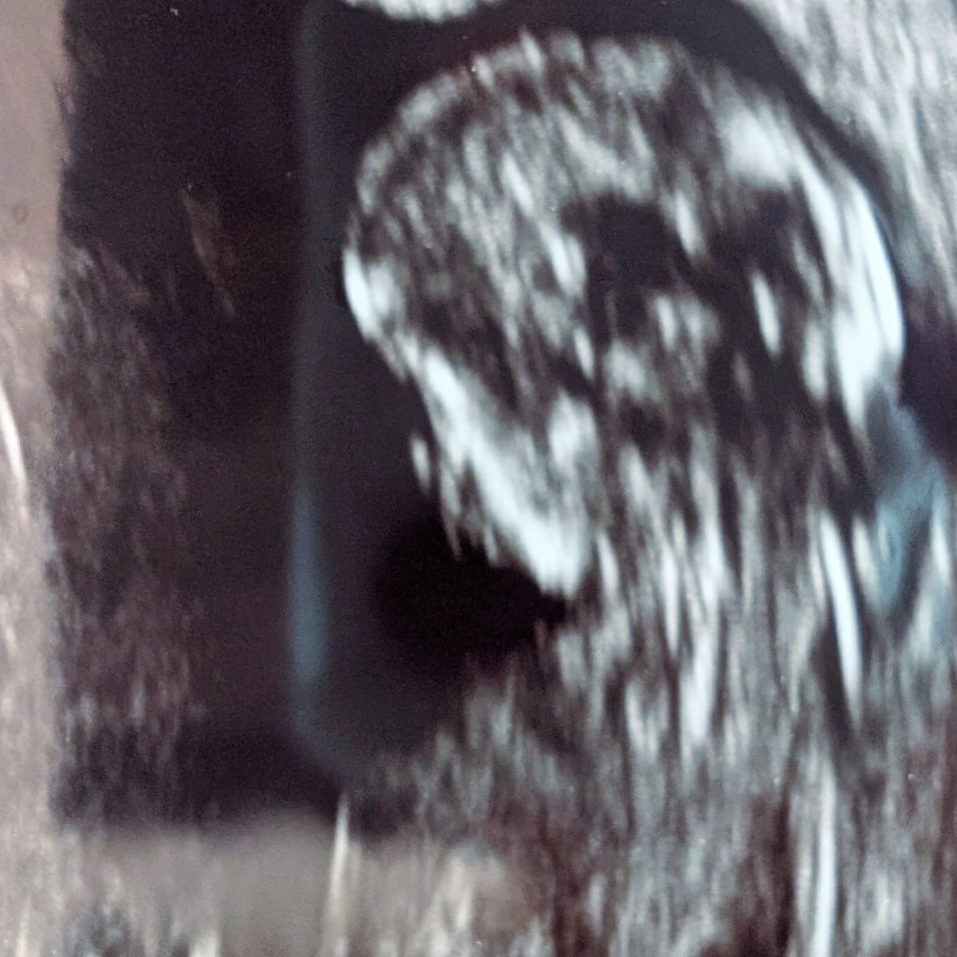 Photo shared by Shelby for their Babylist baby registry.