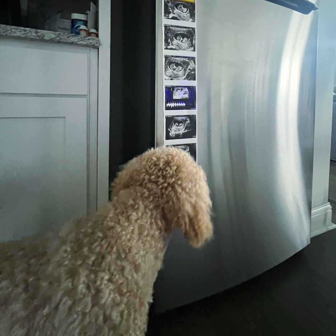 Photo shared by Lauren for their Babylist baby registry.